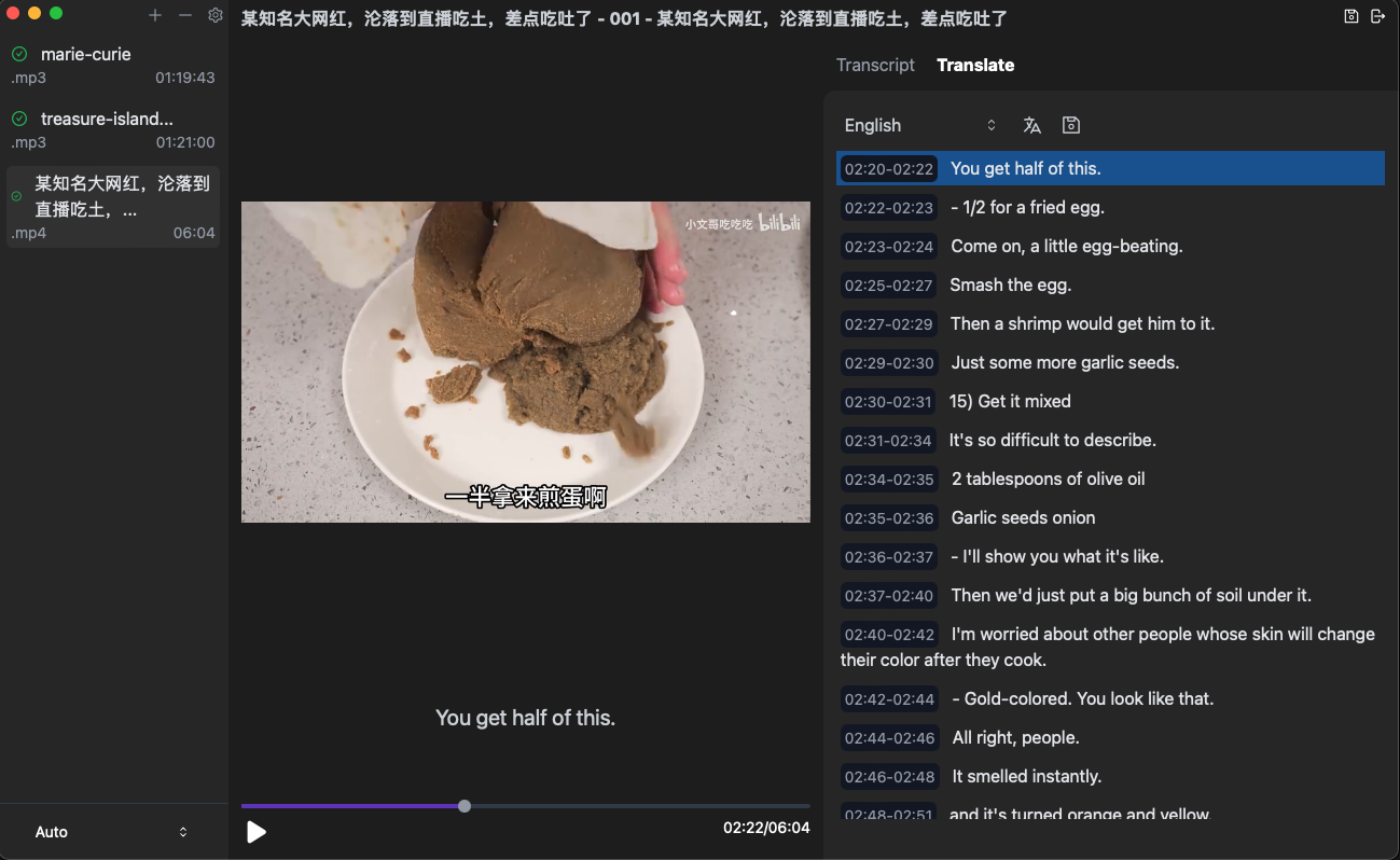 VidTranslate